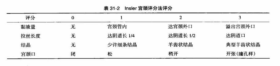 最新宮頸評分標準詳解，專業(yè)科普文章帶你了解最新宮頸評分標準