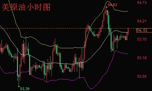 原油操作建議最新探索，小巷特色小店的獨特魅力與寶藏