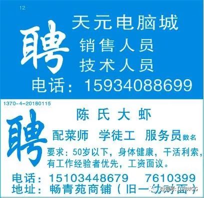 鳳翔在線最新招聘信息，家的溫馨故事與職業(yè)發(fā)展的交匯點